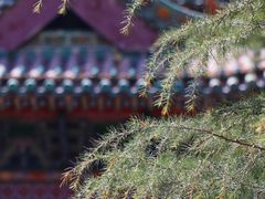 -迎泽公园