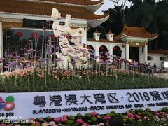 -深圳仙湖植物园-停车场