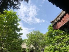 -颐和园