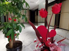 -新梦百货(民族店)