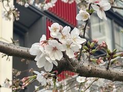 -中兴路(地铁站)