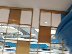 -半岛听涛蒸汽海鲜自助(K11店)