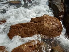 -广东惠东海龟国家级自然保护区