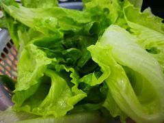 -蔡社牛肉城(龙湖店)