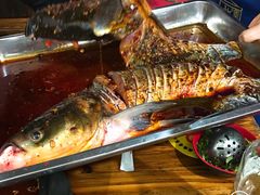 -金海椒罐罐鲢鱼(东方桂苑店)