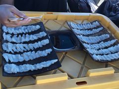 -斐济双桅帆船外岛一日游 浮潜 海钓 Tinhao号