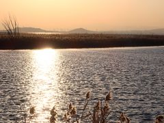 -野鸭湖国家湿地公园