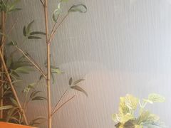 景观位-十面春风·江南面馆(崇宁路店)