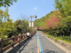 -杭州半山国家森林公园