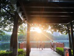 -映月湖公园