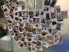 -PETKIT 小佩宠物·低压洗护·美容·寄养(安远店)