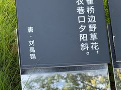 -马王堆汉墓遗址