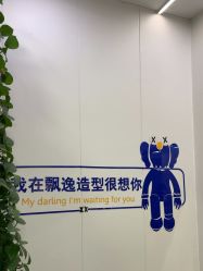 -青霖·飘逸造型