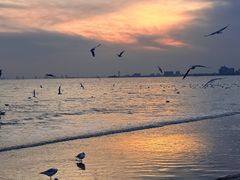 -老虎石海上公园