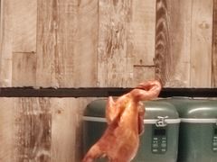 -费大厨辣椒炒肉(太平老街店)