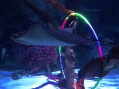 -沈阳海洋探索中心