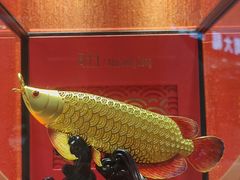 -远大购物中心(南岗店)