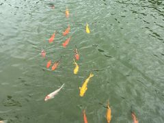 -粤剧艺术博物馆