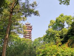 -塔子山公园