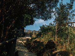 -梧桐山风景名胜区