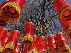 -潭柘寺景区