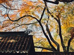 -惠山古镇·寄畅园