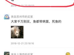 -龙大花卉苗木市场