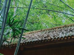 -大屏嶂森林公园