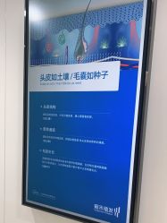 -雍禾植发全国连锁