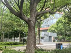 -华东师范大学第二附属中学(张江校区)