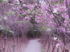 -福建鲤鱼洲酒店