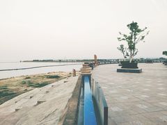 -合肥滨湖国家森林公园