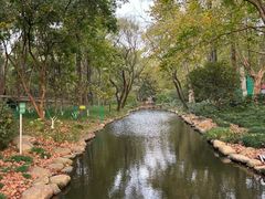 -上海共青森林公园