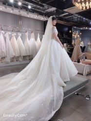 -艾米丽婚纱礼服