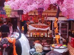 -吉祥圣雪藏餐
