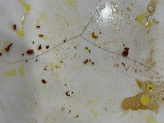 -草桥清真牛肉锅贴扁食店