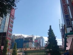 -秋叶原电器街