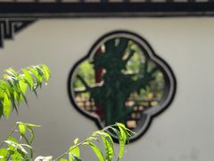 -南汇桃花村