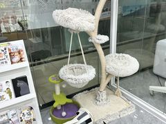 -爱洗澡的猫(天河路店)