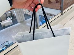 -ARC'TERYX始祖鸟(北京王府中环店)
