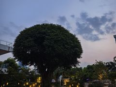 -广州白天鹅宾馆