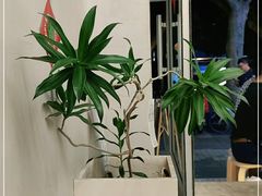 -小团圆糖水铺(襄阳南路店)