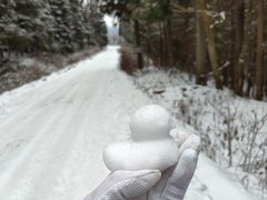 -武陵山森林公园