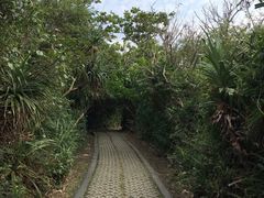 -鹅銮鼻公园