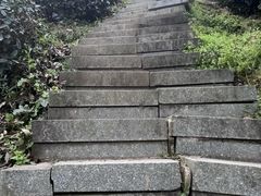 -午潮山国家森林公园