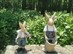 -上海共青森林公园