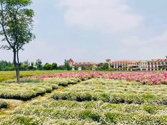 -歌斐颂巧克力小镇