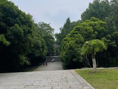 -灵谷景区