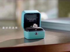 -Tiffany & Co.蒂芙尼
(天津万象城店)
