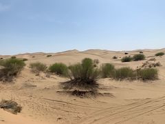 -亿利库布其七星湖沙漠生态旅游区